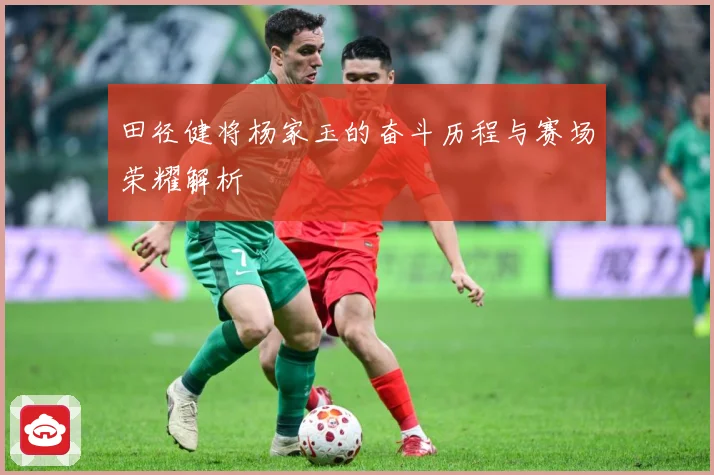 田径健将杨家玉的奋斗历程与赛场荣耀解析