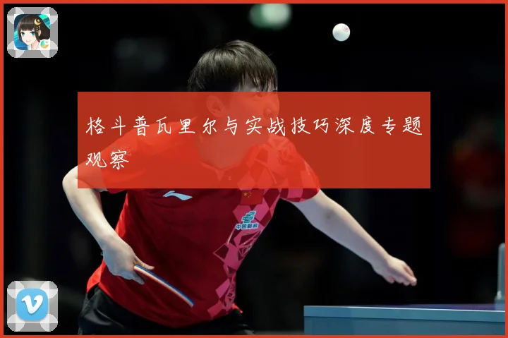 格斗普瓦里尔与实战技巧深度专题观察