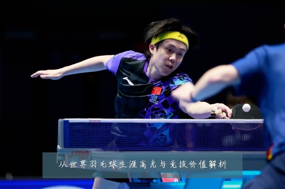 从世界羽毛球生涯高光与竞技价值解析